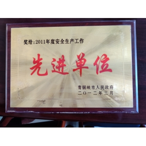 榮譽(yù)證書(shū)四