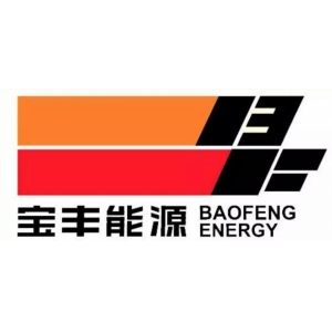 寧夏寶豐能源集團(tuán)股份有限公司